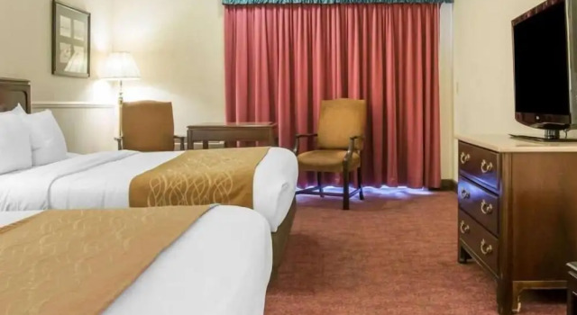Номер Premium Canberra Premiere Comfort Hotel