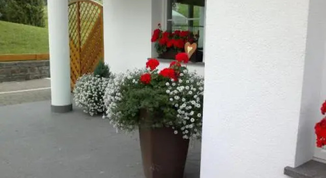 Apartments Antines