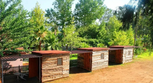 Bungalow Medusa Camping