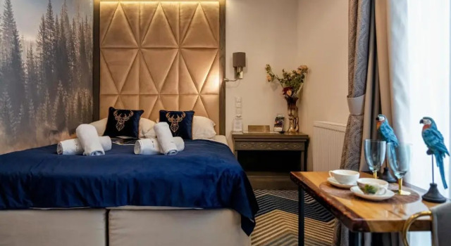 Двухместный номер Standard с видом на горы Serce Tatr Residence Zakopane - blisko Krupówek