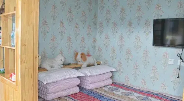 Номер Standard Beijing Su Weifang Homestay (Wohushan Branch)