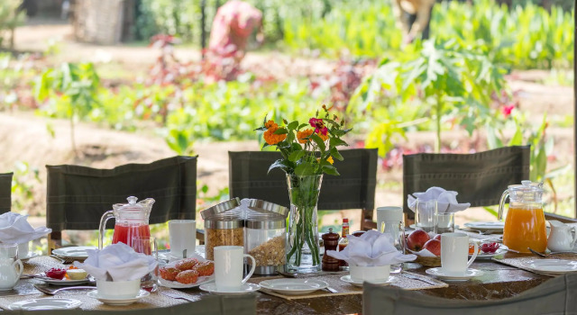 Kings Lodge, Book Hotel Tala 