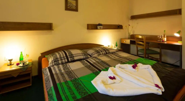Двухместный номер Standard Pension & restaurace Zelený Mlýn Žacléř