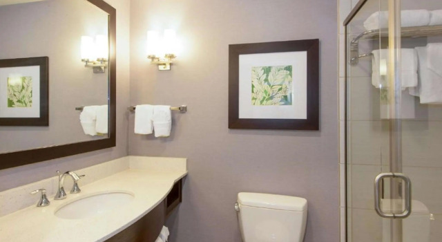 Двухместный номер Standard Hilton Garden Inn Raleigh Cary