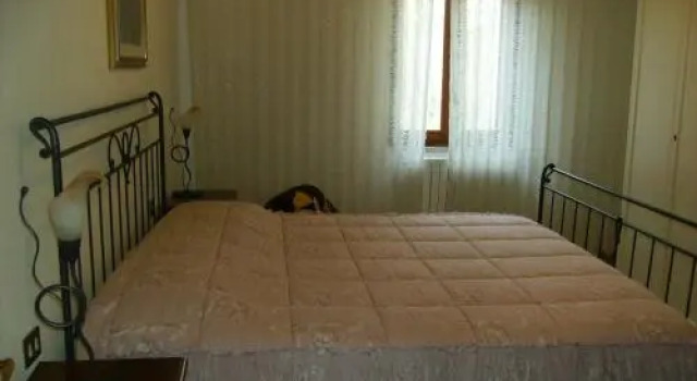 Il Vecchio Cipresso