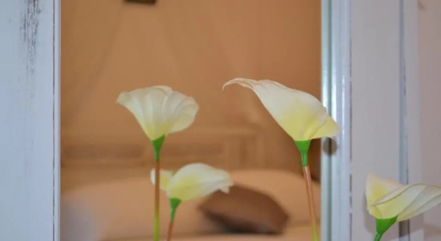 Одноместный номер Standard Dream Island Hotel
