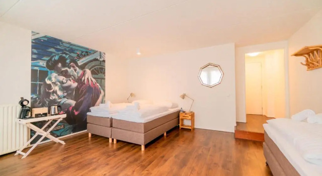 Номер Comfort Pink Flamingo Boutique Hostel