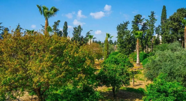 Студия Pafilia Garden Apartments