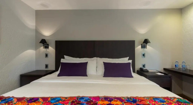 Номер Standard Hotel Flamingo Inn