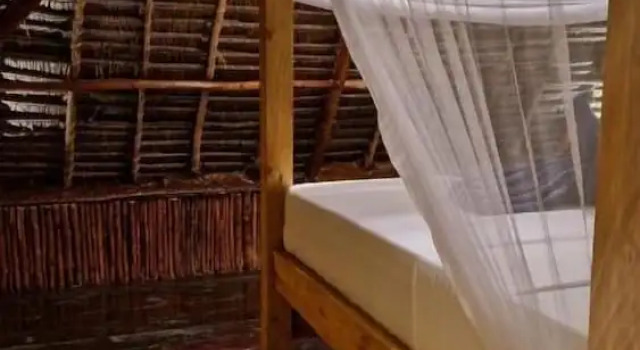 MONKEY MOUNTAIN LODGE, Prenota Hotel  