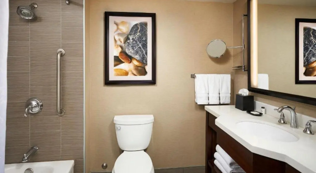 Четырёхместный номер Standard Sheraton Hamilton Hotel