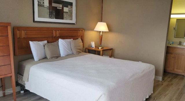 Номер Standard Crusader Oceanfront Resort