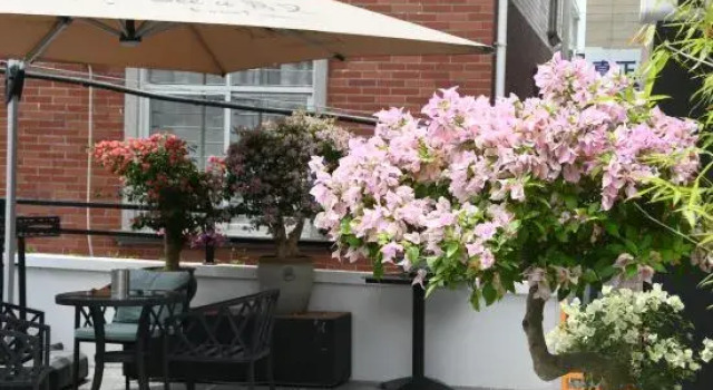 Floral Hotel·Qing yuan Wang shan Xuan Hotel, Book Hotel Quanzhou Fujian