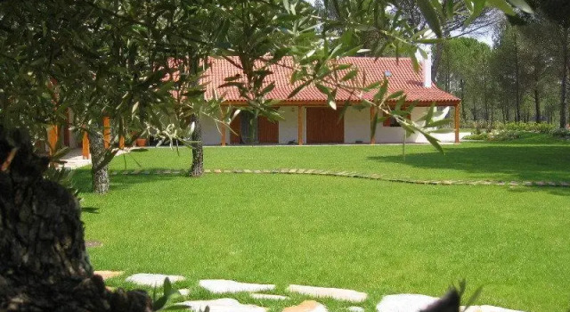 Brejo Da Amada