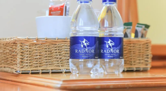 Номер Economy Bowood Park Hotel