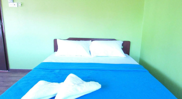 Fat Rhino Hostel