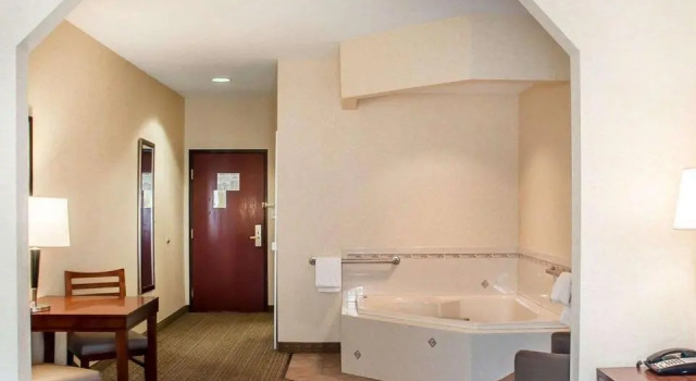 Люкс c 1 комнатой Comfort Inn & Suites Hamburg - Buffalo South