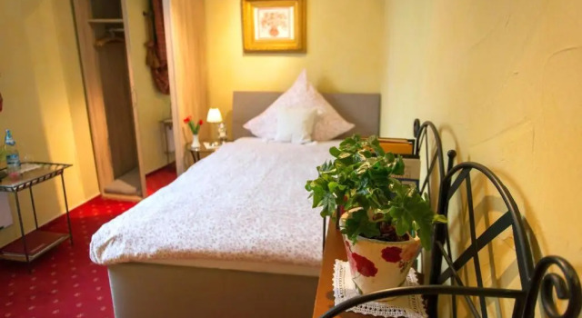 Одноместный номер Standard Hotel Weiler