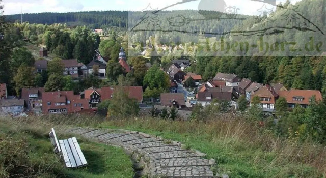 Appartement FeWo Eulennestchen-Harz