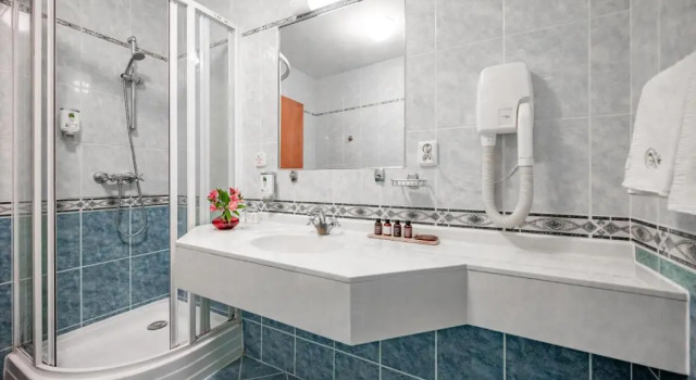 Двухместный номер Standard Hotel U Královny Elišky