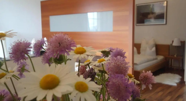 Апартаменты Appartment Schwarzenauer