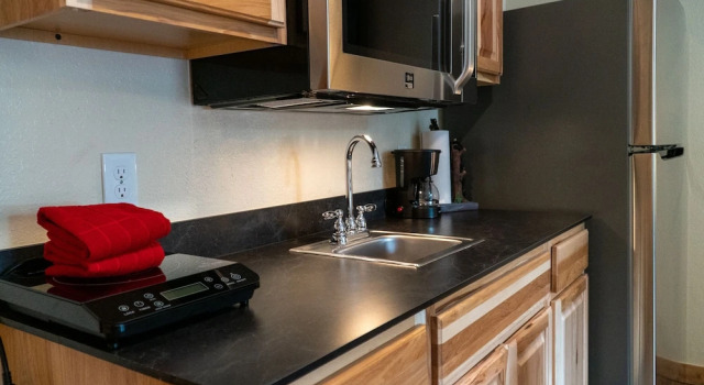 Люкс Standard c 1 комнатой с видом на горы Ouray Riverside Resort - Inn & Cabins