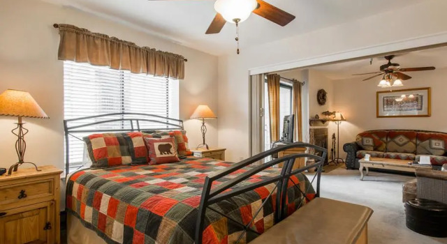 Номер Standard c 1 комнатой Carriage House Condominiums by All Seasons Resort Lodging