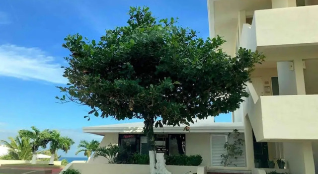 Ocean View 3 Bedroom apartment, Prenota Appartamento Hotel a Quintana Roo con parcheggio, Parcheggio