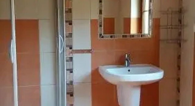 Olšina, Prenota Casa vacanze Horní Planá 