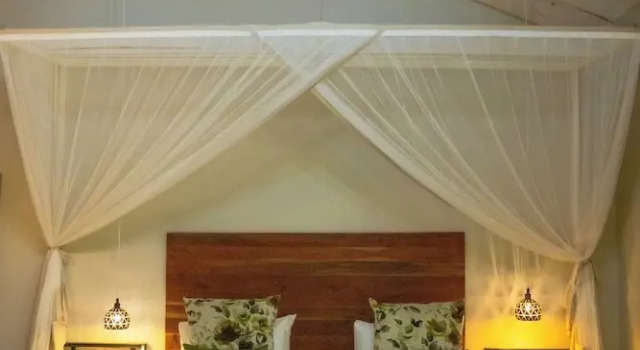 Номер Standard Kasambabezi Lodge