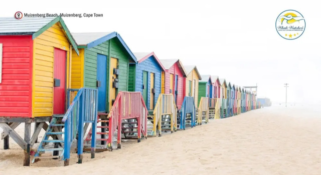 Beach Loft Muizenberg Beachfront, Buchen Sie Hotel Muizenberg False Bay