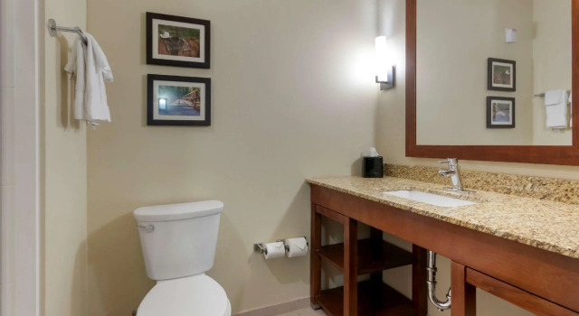 Люкс Comfort Suites Billings