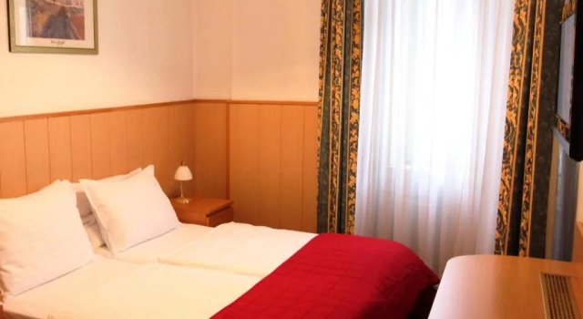 Двухместный номер Standard Hotel Corvinus Vienna