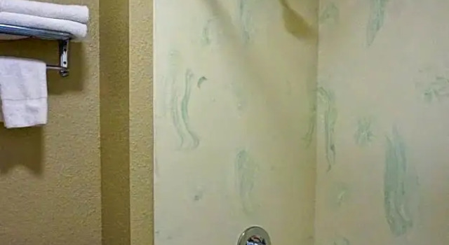 Номер Standard Signature Inn Mountain View