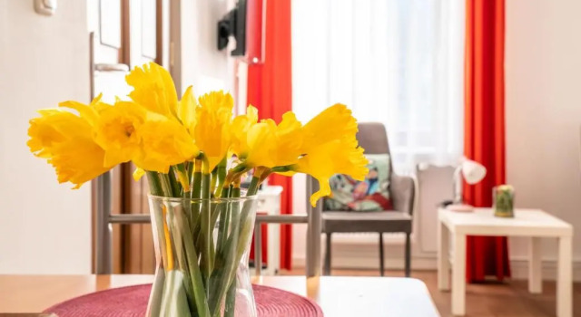 City Studio Apartment for 2, near Sonnenallee, Varaa Huoneisto Neukölln Berliini