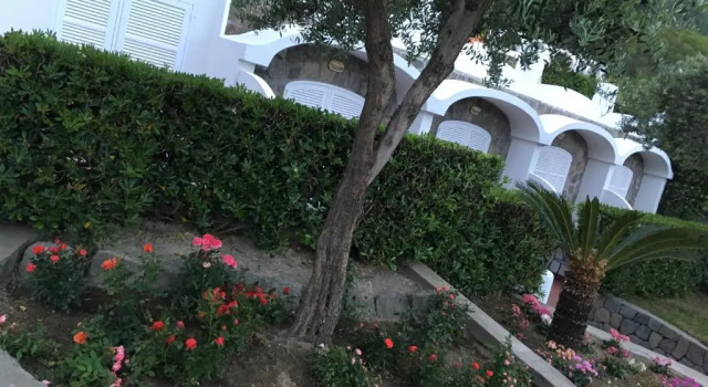 Номер Standard Poggio Aragosta Hotel & Spa