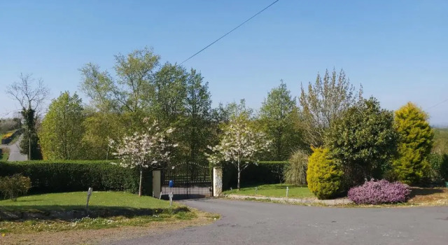 Номер Economy Drumhirk House