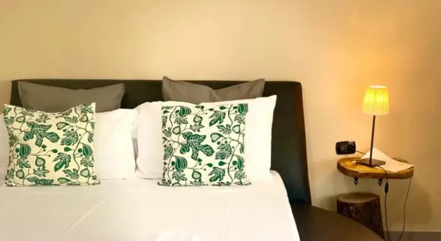 Люкс Laetitia guest house116