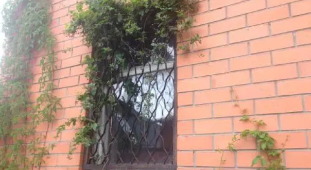 Olginka Guest House, Забронировать Гостевой дом Гостевые дома Ольгинка, рядом с Пляж Ольгинка, Гостевой дом