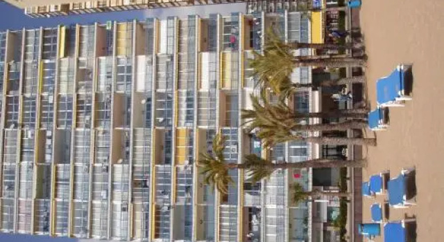 Las Palmeras