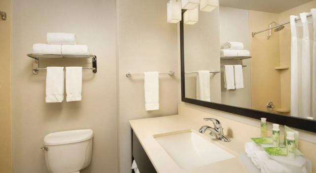 Номер Standard Holiday Inn Express Hotel and Suites DFW-Grapevine by IHG
