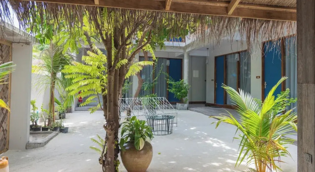 The Palm Ray, Book Guesthouse Rasdhoo Ari Atoll