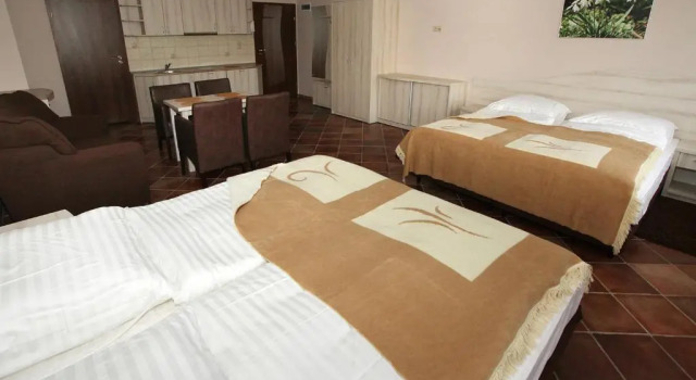 Семейная студия Apartamenty Rok