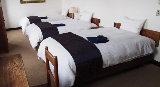Трёхместный номер Standard LC Goryokaku Hotel