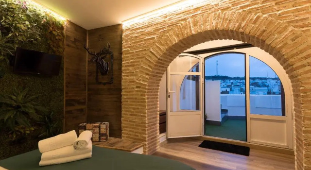 Двухместный номер Standard Hotel Posada de las Cuevas