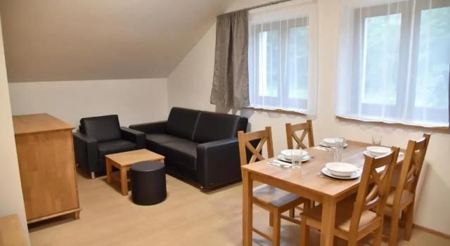 Люкс Executive EFI ApartHotel Horní Lipová
