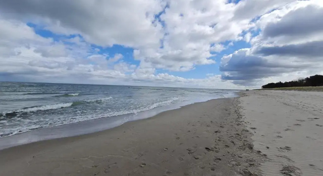 Zingst Achtern Diek 12d Elly