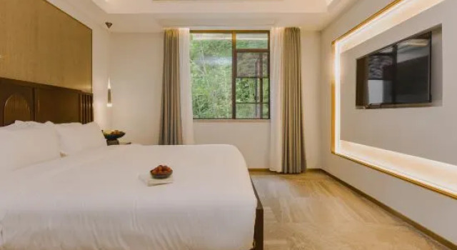 Люкс Executive Phoenix Xueqingji Humanity Banshan Homestay (Phoenix Ancient City Branch)