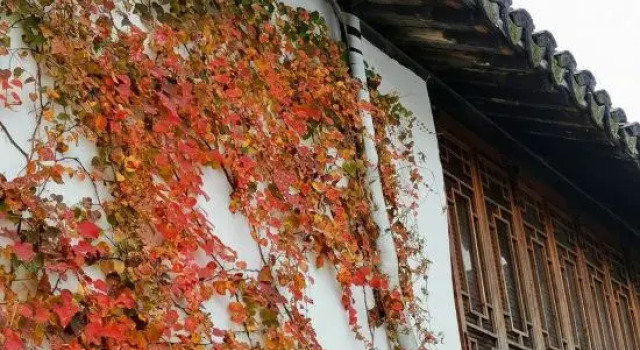 Cedar House B&B, Varaa Bed and Breakfast Shanghai Shanghai