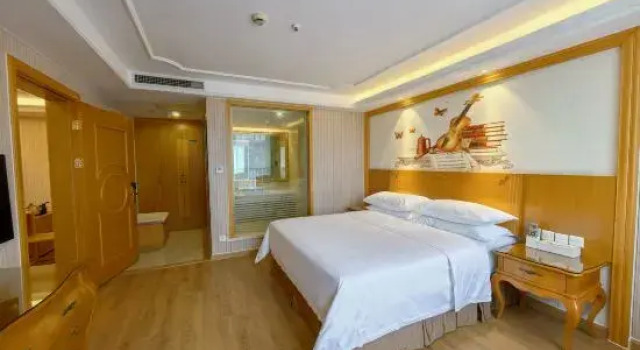 Люкс Business Wuyi Mountain Vienna International Hotel (Sangu Holiday Zone Impression Dahongpao Branch)